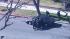 Police officers forcefully pull a suspect out of...