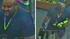 Chris Dorner is seen on surveillance video...