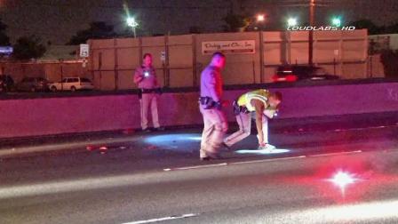 California Highway Patrol officers investigate the scene of fatality on the 5 Freeway in East Los Angeles on Sunday, March 3, 2013.