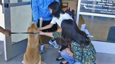 A Whittier family was reunited with their long-lost dog this week thanks to a Riverside County Animal Control officer.