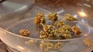 Marijuana is shown in this undated file photo.