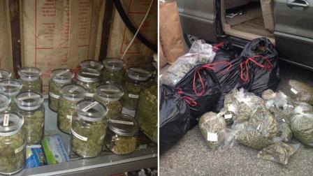 Police seized nearly 100 pounds of marijuana from a home on the 2000 block of Noble View Drive in Rancho Palos Verdes on Thursday, May 16, 2013.