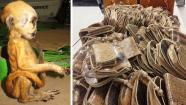 U.S. Customs and Border Protection authorities at Los Angeles International Airport seized purses made of exotic animals on Monday, May 6, 2013 and a dead primate Friday, May 10, 2013.