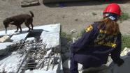 A member of L.A. City Fires Urban Search-and-Rescue team trains with a canine on Tuesday, May 21, 2013.