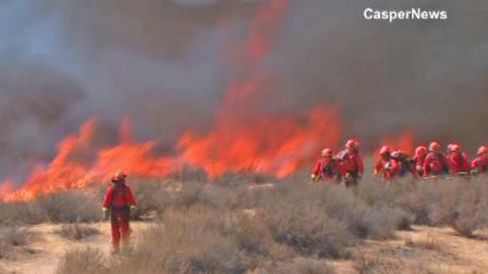 Firefighters battle a brush fire in Sycamore Canyon Wilderness Park in Riverside on Thursday, July 4, 2013.