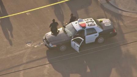 Officers stand outside a patrol car behind crime scene tape near the scene of a shooting involving a suspects dog in the West Adams District on Friday, July 26, 2013.