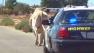 California Highway Patrol received a report of a bull running in traffic Sunday morning, Sept. 1, 2013.