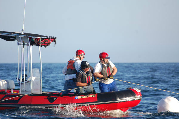 Whale Rescue