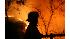 Triangle Complex Fire