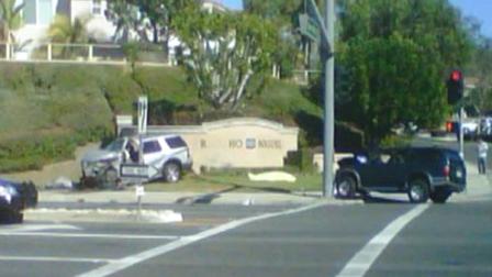 A jogger trying to help a stray dog in Laguna Niguel was killed after being hit by two vehicles on Sunday, Feb. 13, 2011.