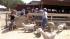 Across from the train depot is Zoomars Petting...