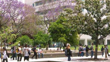 Cal State University, Fullerton