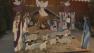A Nativity Scene on the 1600 block of Woodstock Lane was vandalized on Sunday, Dec. 23, 2012, authorities said.