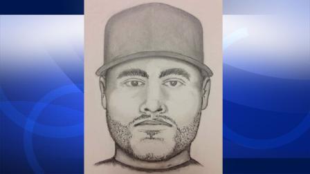 Anaheim police released this sketch of a man suspected of groping a 14-year-old girl on Saturday, Feb. 2, 2013.