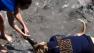 Cellphone video from Laguna Beach shows a dog breaking free from its leash and attacking a baby sea lion on Saturday, March 23, 2013.