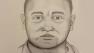 Orange County investigators have released a sketch of a man they said tried to lure two young girls into a van in Rossmoo on Sunday, March 24, 2013.