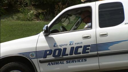 Laguna Beach police are warning dog owners not to allow their pets outside at night after two coyote attacks in July.