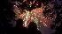 A couple stands in the foreground as fireworks explode overhead