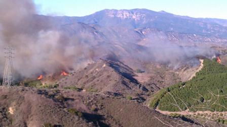 A wind-whipped brush fire has burned about 45 acres of an agricultural area near Santa Paula.