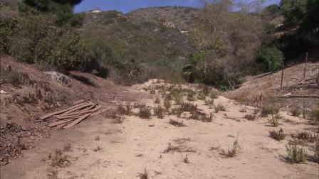 Ventura County officials said a family dog was set on fire and burned to death near Camarillo on Saturday, Oct. 27, 2012.