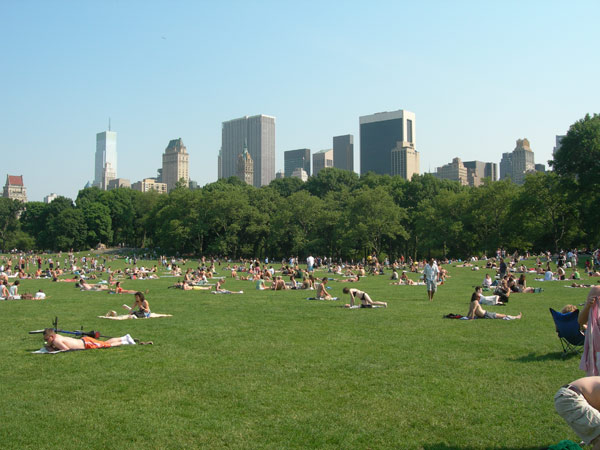 New York City was ranked No. 5 in a Travel +...