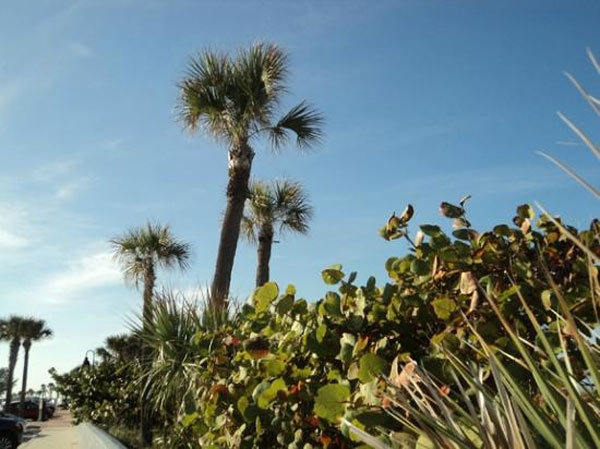 Pass-a-Grille in Saint Pete Beach, Fla. ranked...