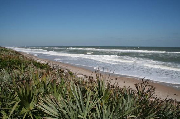 Canaveral National Seashore in Titusville, Fla....