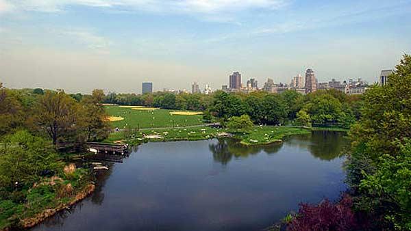 The skyline of upper Fifth Ave. is visible in this view northeast view of Central Park.