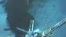 This image made from video released by British Petroleum (BP PLC) shows the gushing oil well in the Gulf of Mexico on Sunday, May 30, 2010 at 5:19 am EDT.