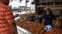 A majority of the Cajun cuisine - fish, oysters,...