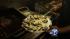 New Orleans leading economic factor is the food....