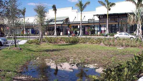 Sawgrass Mills in Sunrise, Fla., is No. 4 on Yahoo's Most Visited Shopping Malls list.