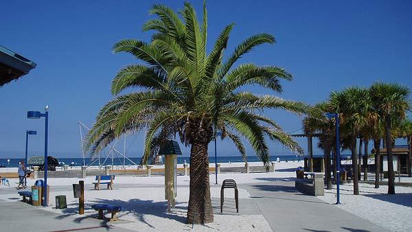 Clearwater, Fla. was listed as one of the top 10 cities to retire in the county.