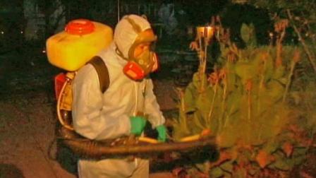 Insecticide is sprayed in Dallas, Texas in this August photo.