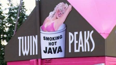 Eight bikini espresso stands suspected of acting as fronts for prostitution rings were raided by local police in Everett, Wash.