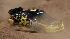 Rally Car Racing Super Special