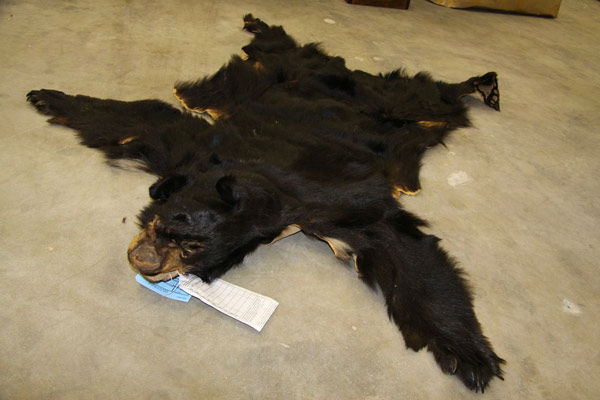 James I. Colburn, 66, of Leona Valley was arrested for allegedly selling a bear skin rug. The arrests are a result of Operation Cyberwild, a task force investigation that led to the arrests of 10 people in California, as well as two individuals in Nevada.