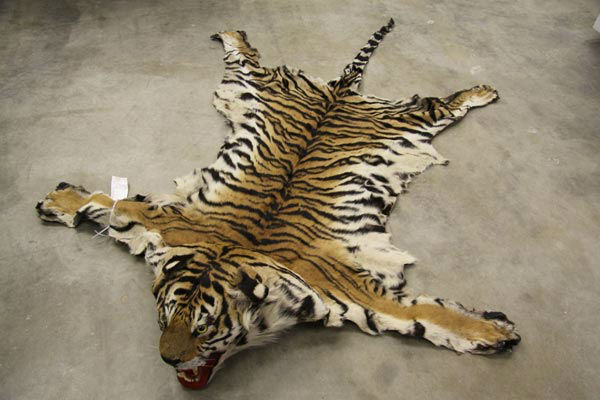Victor Northrop, 48, of Henderson, Nevada was arrested for allegedly selling a rug made out of an endangered tiger for $10,000. The arrests are a result of Operation Cyberwild, a task force investigation that led to the arrests of 10 people in California,