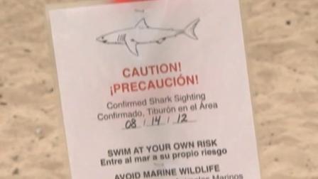 A warning sign is seen on a Santa Barbara beach after a shark was spotted on Tuesday, Aug. 14, 2012, near Leadbetter Point.