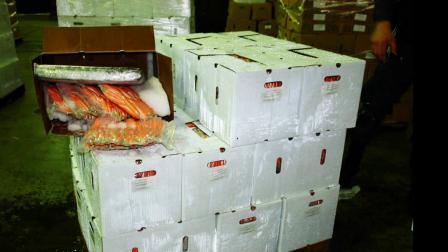 Eight-hundred pounds of marijuana, worth an estimated $1.1 million, was found hidden in a shipment of carrots Thursday, Aug. 16, 2012.