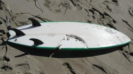 Officials released a photo showing a sharks teeth marks on a victims surf board. A surfer was pronounced dead on the beach after being attacked by a shark in the water of the coast of Lompoc Tuesday, Oct. 23, 2012.