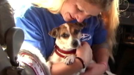 A dog displaced by Superstorm Sandy is shown in this November photo.