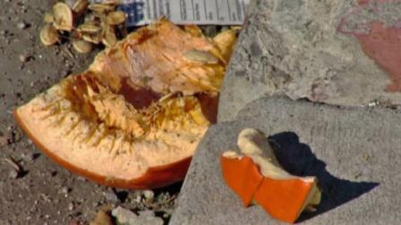Pumpkin rind and seeds are shown at the scene of an attack in Stockton, Calif., where someone threw a pumpkin at a woman crossing the street, sending her to a hospital on Thanksgiving Day.