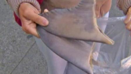 Shark fins are shown in this undated file photo.