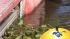 Southland residents say if storm drains arent...