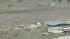 The tsunami rammed directly into a breakwater in...