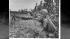 The North Vietnamese troops were trying to take...