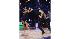Female contestants on Dancing With the Stars,...