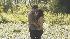 Edward Cullen (Robert Pattinson) and Bella Swan...