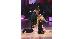 Aiden Turner and Edyta Sliwinska perform on...